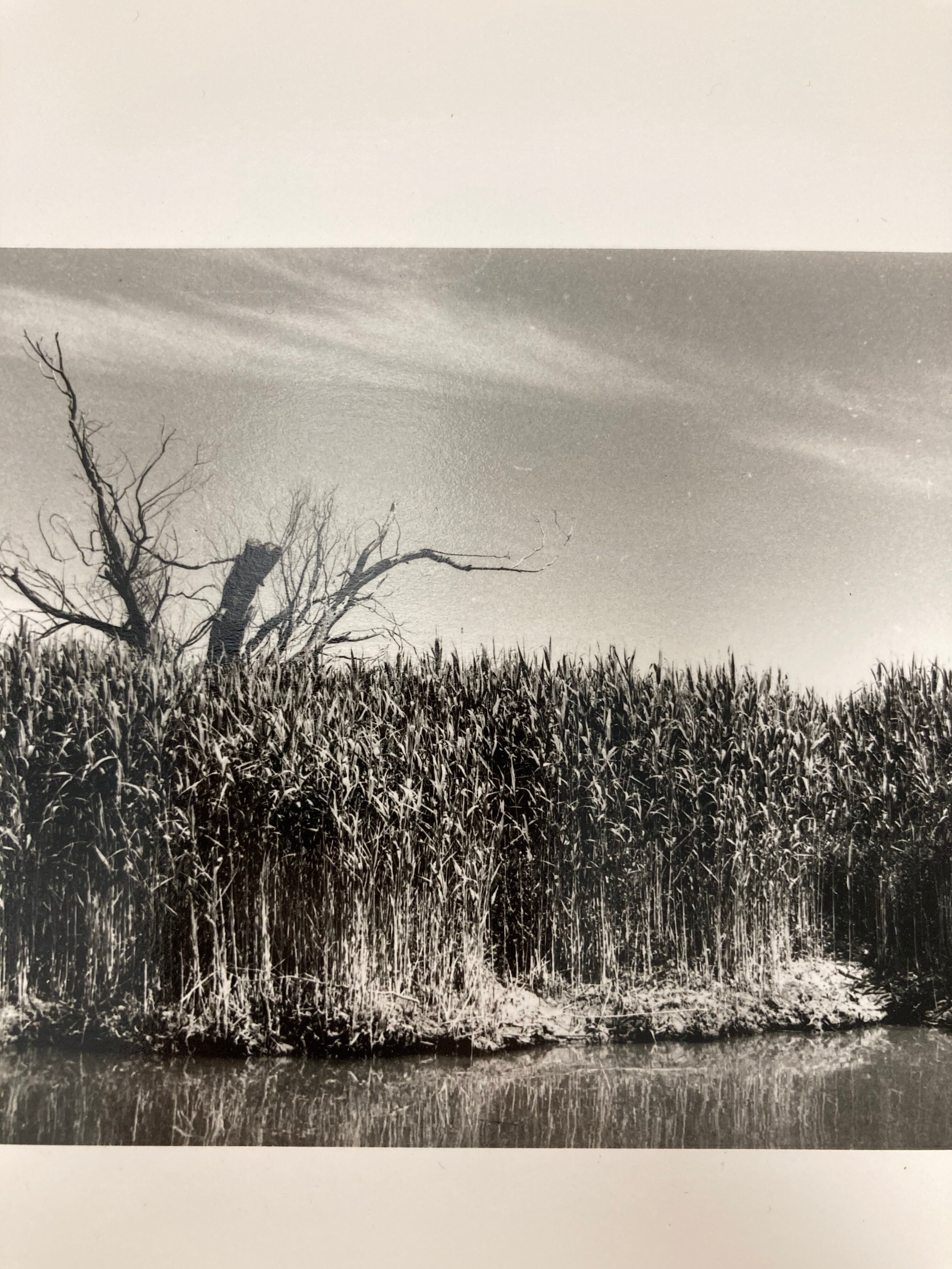 Film landscape photography