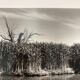 Film landscape photography