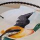 Duck catchall