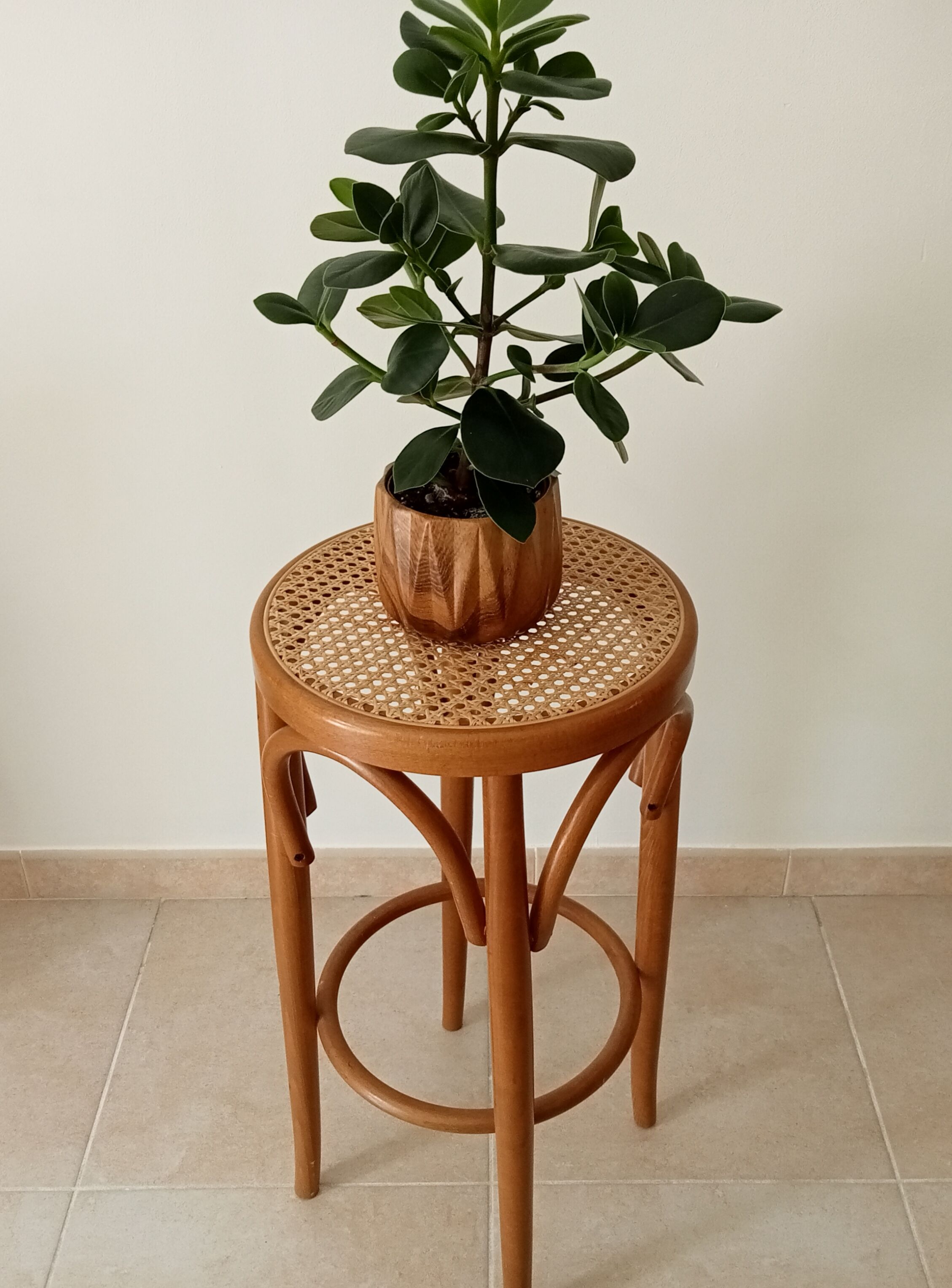 Vintage curved wooden high stool and tanned seat