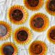 9 small plates sunflower oil lesieur Duralex