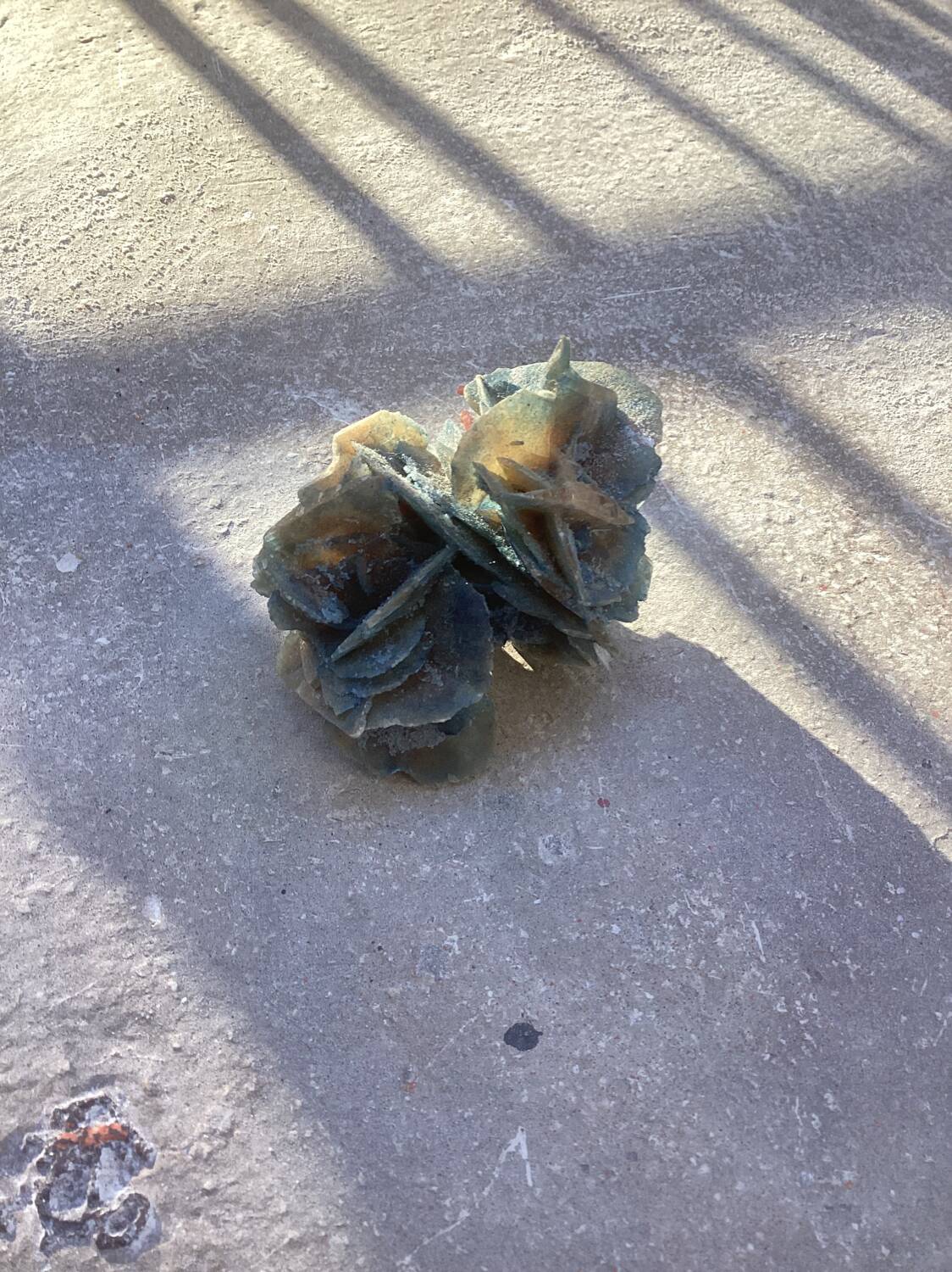 Small blue tinted sand rose