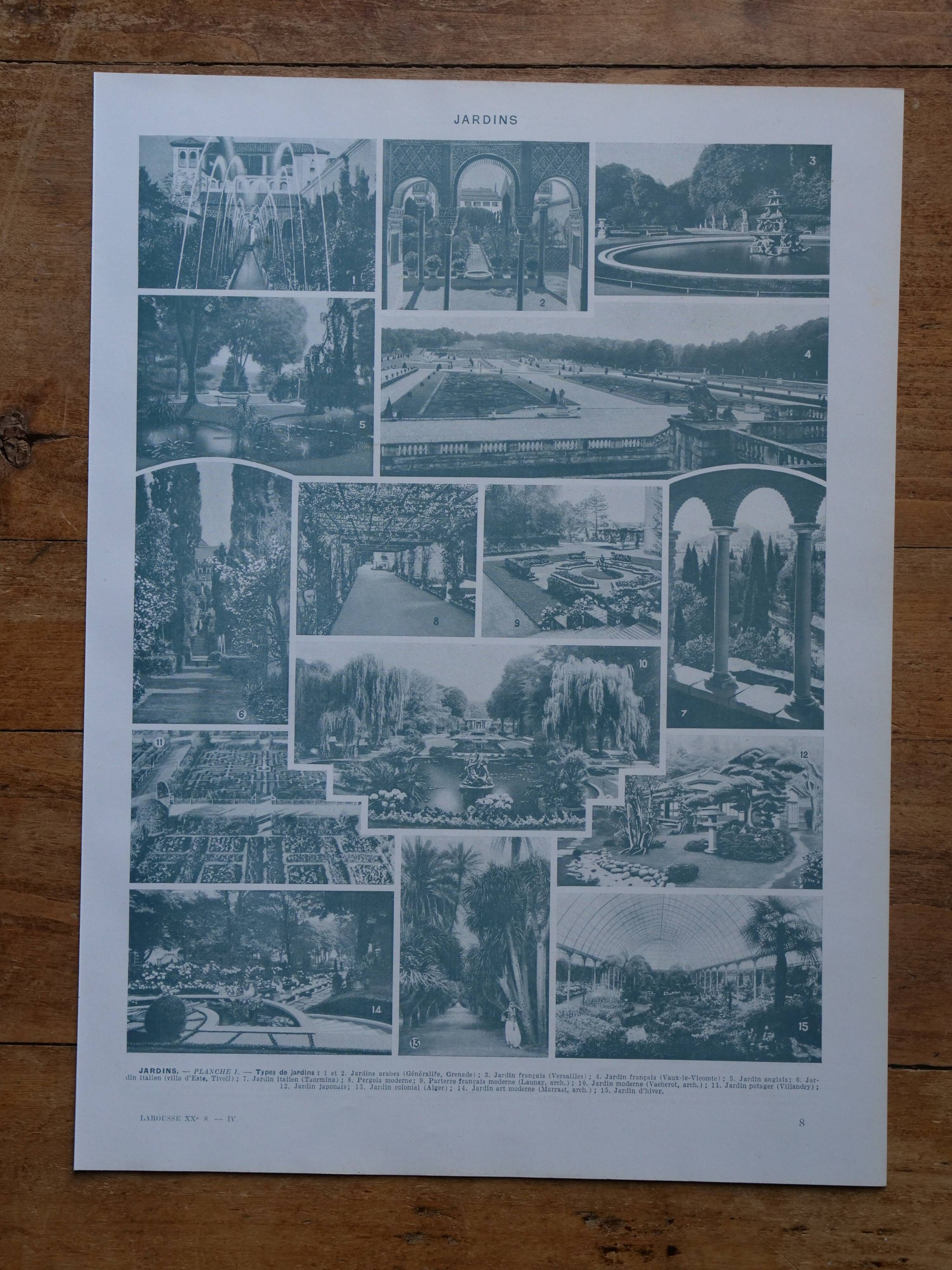 Original lithographs on gardens and ornamental trees