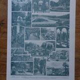Original lithographs on gardens and ornamental trees