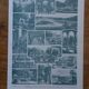 Original lithographs on gardens and ornamental trees