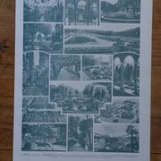 Original lithographs on gardens and ornamental trees