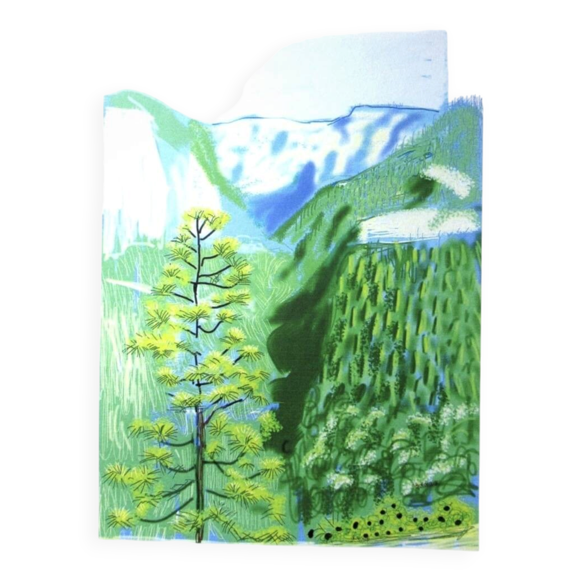 Lithographie de David Hockney signée et numérotée