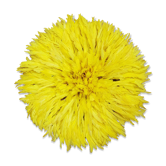 Juju hat yellow 50cm