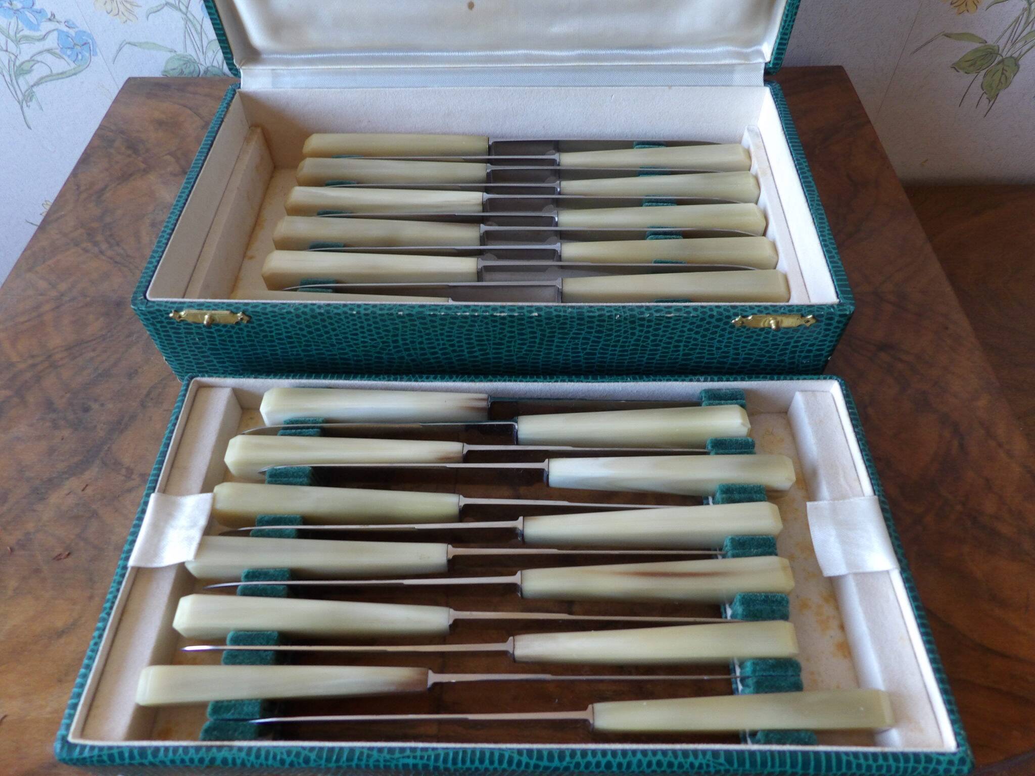 Boite de 24 couteaux