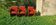 Set of 3 armchairs "401 break" by Mario Bellini for Cassina