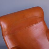 Fauteuil Karuselli par Yrjö Kukkapuro pour Haimi, années 1960