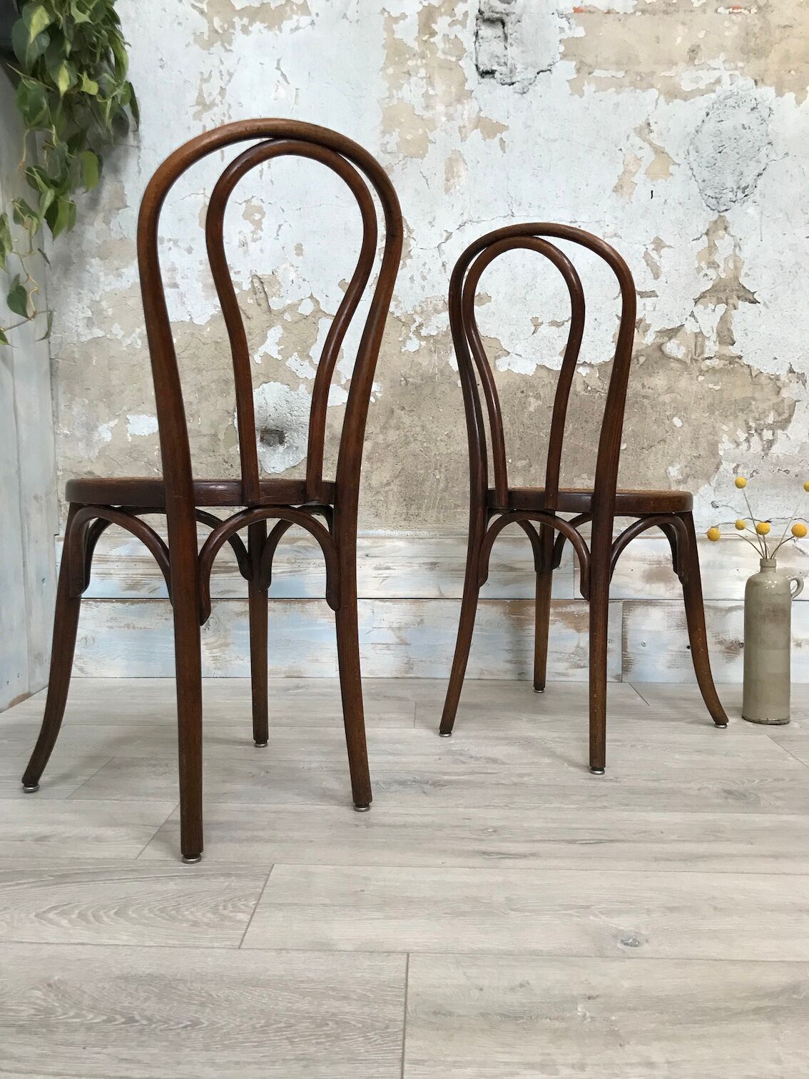 Paire de chaises bistrot Fischel