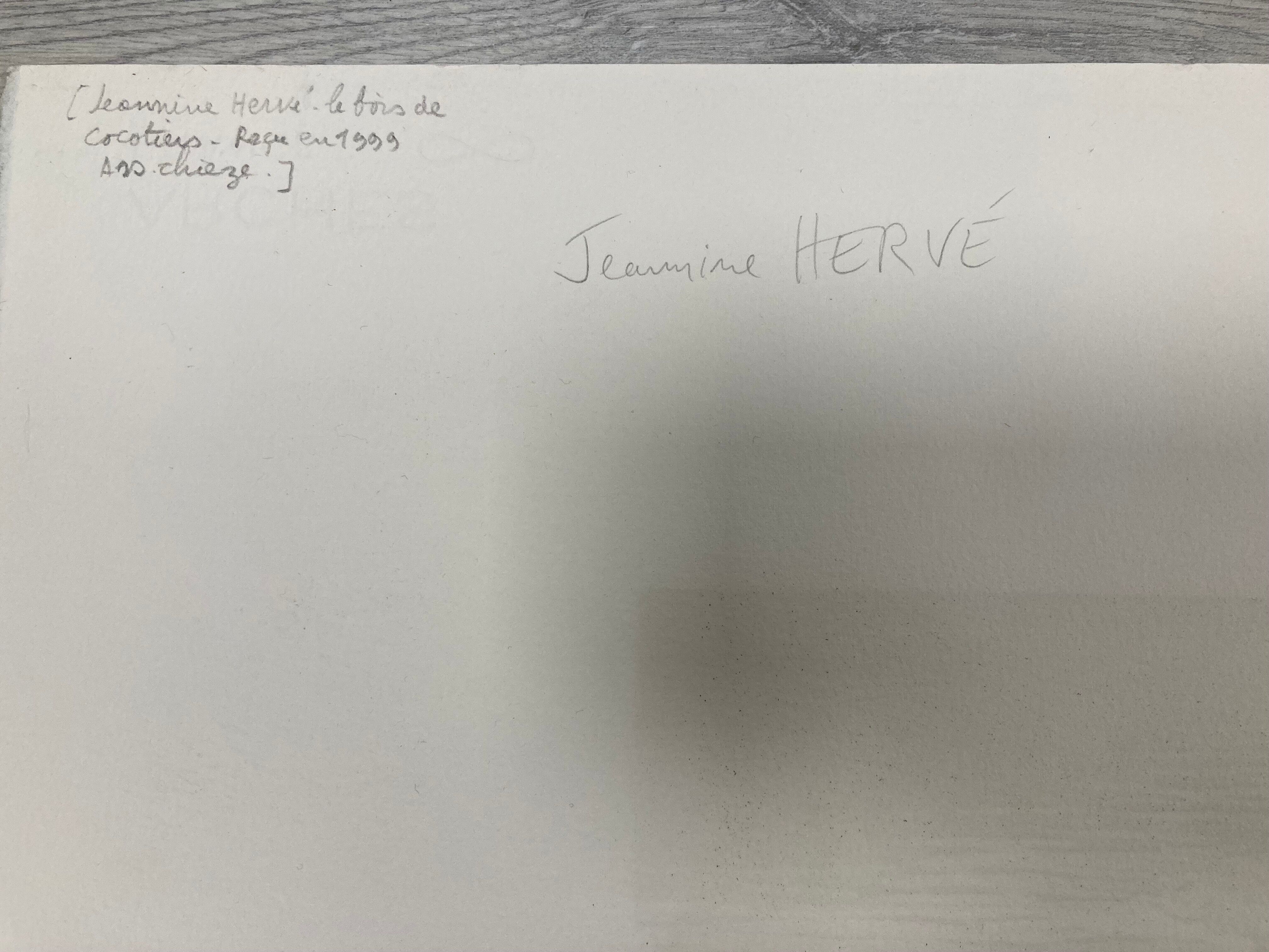 Illustration Le Bois des Cocotiers