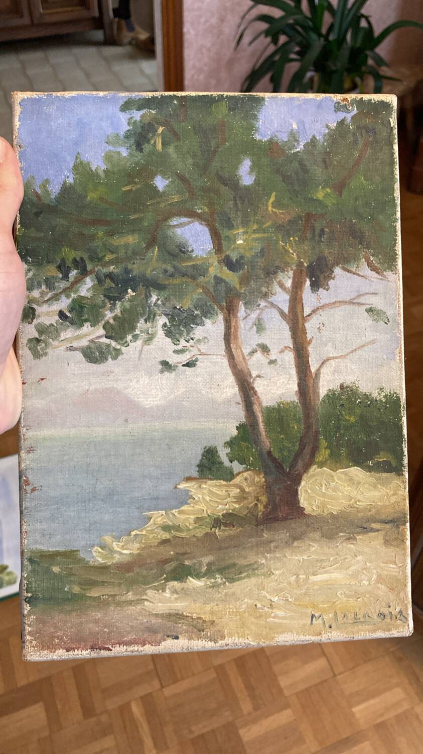 Huile sur toile pin parasol
