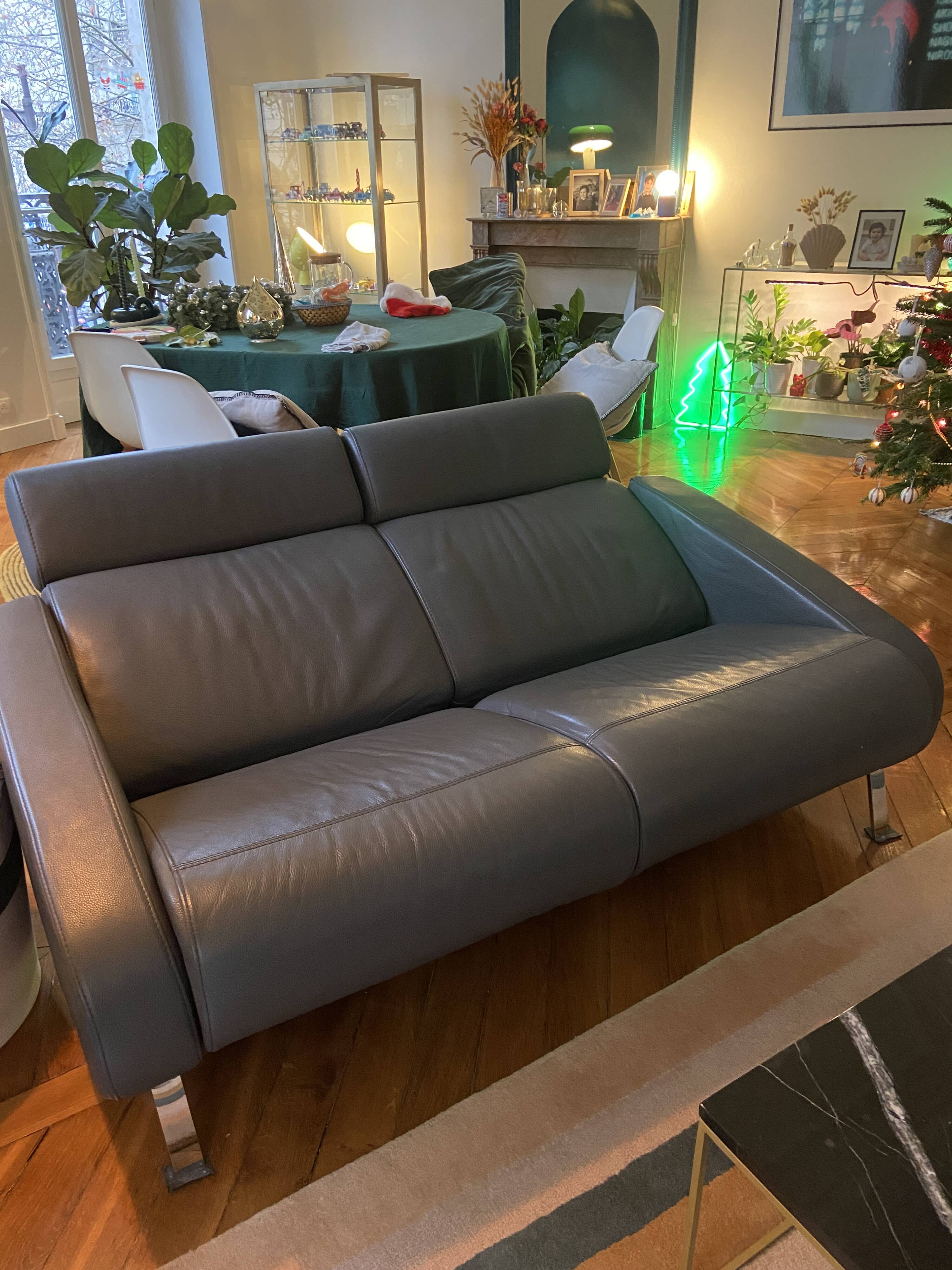 Steiner Reclining Leather Sofa