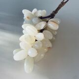Bunch of onyx grapes
