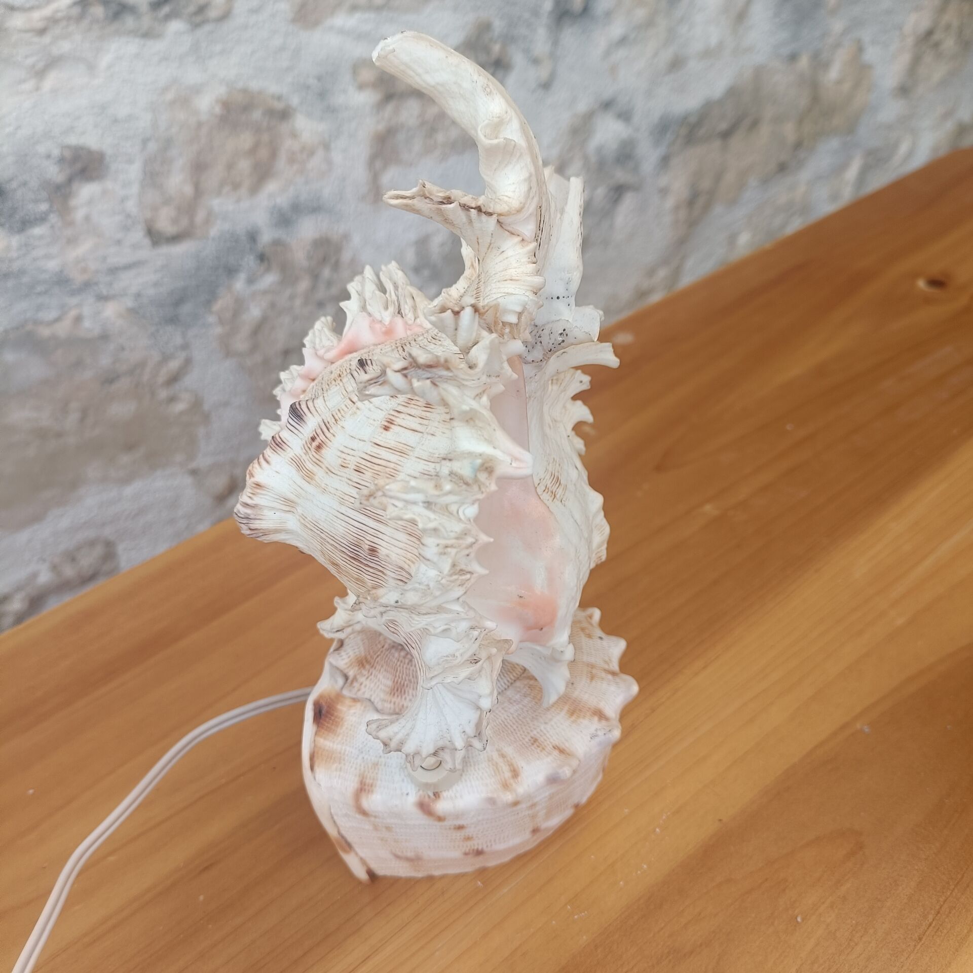 Shell lamp 60's