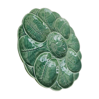 Green barbotine aperitif dish