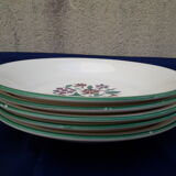 5 hollow plates in salins earthenware floral decoration diam 22 cm
