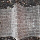 Iron and wicker bird cage