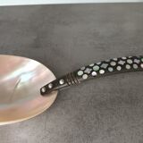 Shell spoons Indonesia nineteenth