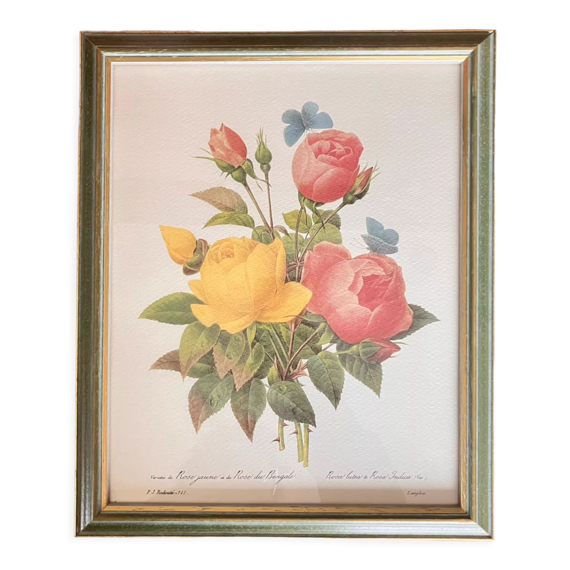 Reproduction redouté
