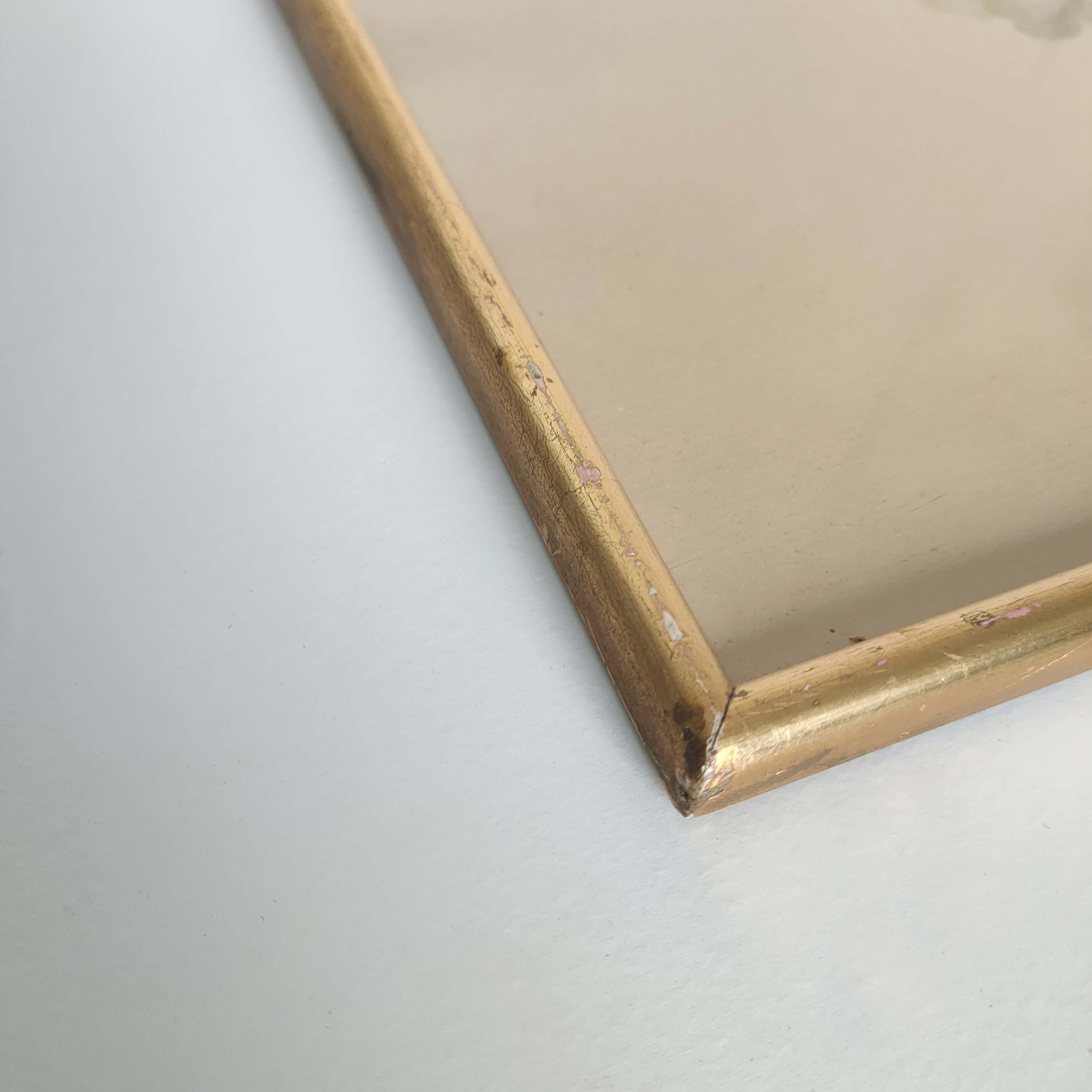 Botanical plate Rose Dreaded