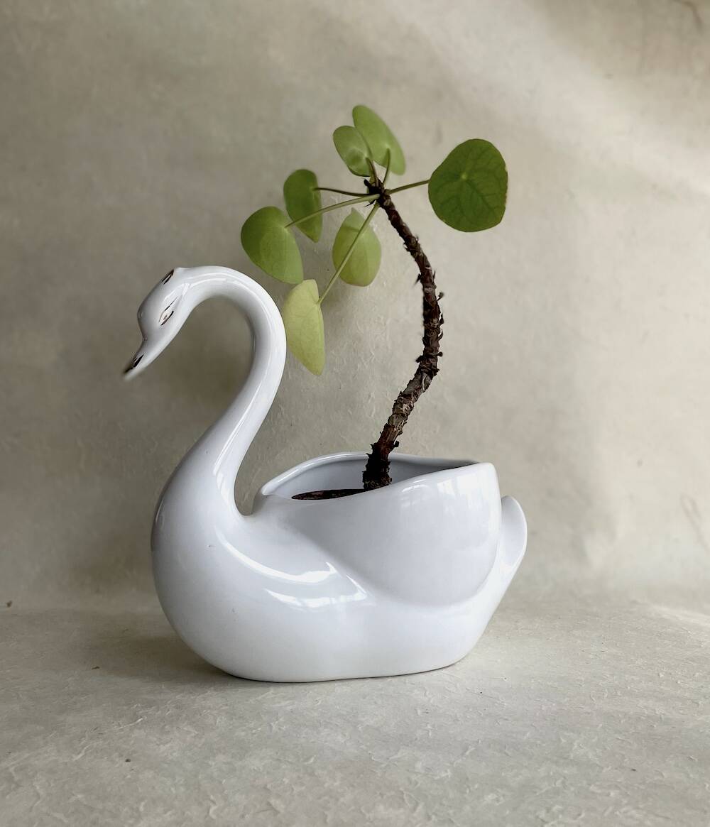 Vintage swan shaped planter