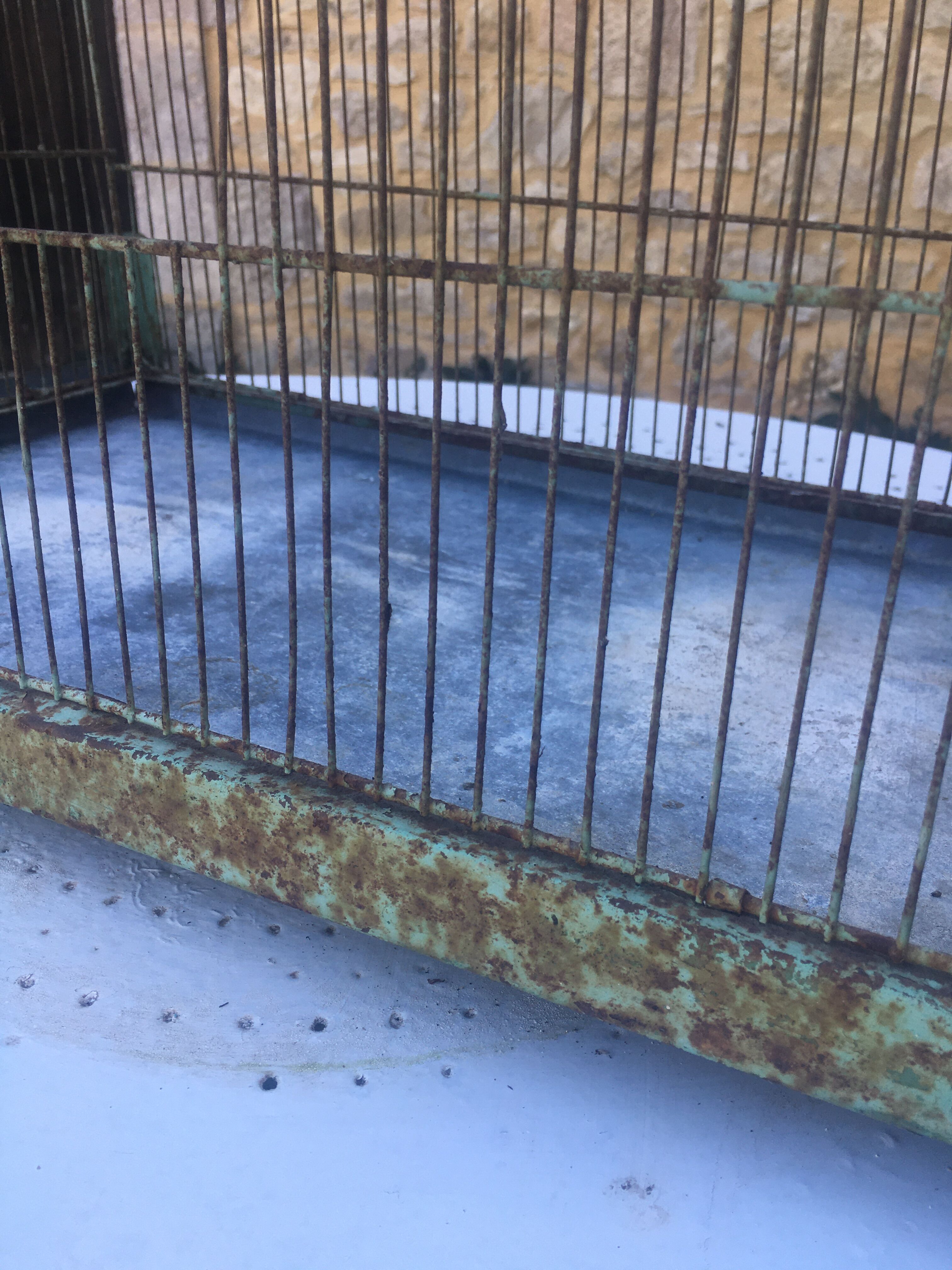 Metal bird cage