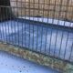 Metal bird cage