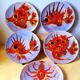 Fish plates, Brunner, Vence 1960