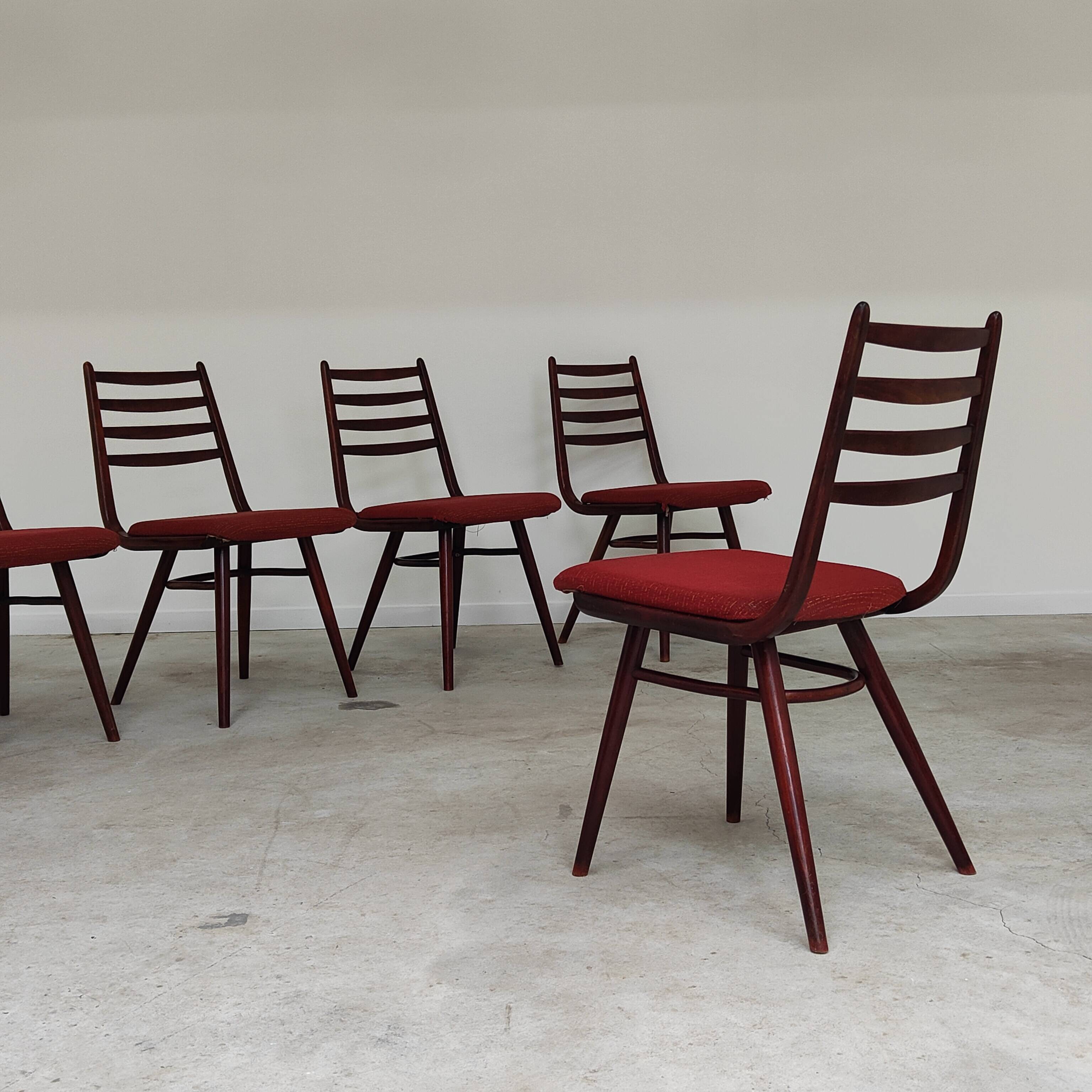 Lot de 6 chaises Jitona Sobeslav , Tchécoslovaquie 1960
