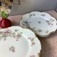 Plates Haviland Limoges 1900 - floral decoration liberty