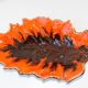 compotier flammé orange