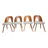 Chaises conçues par Antonín Šuman pour Tatra Nabytok, Tchécoslovaquie des années 1960.