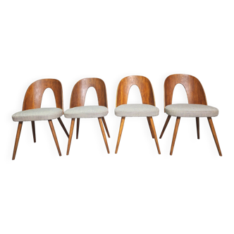 Chaises conçues par Antonín Šuman pour Tatra Nabytok, Tchécoslovaquie des années 1960.