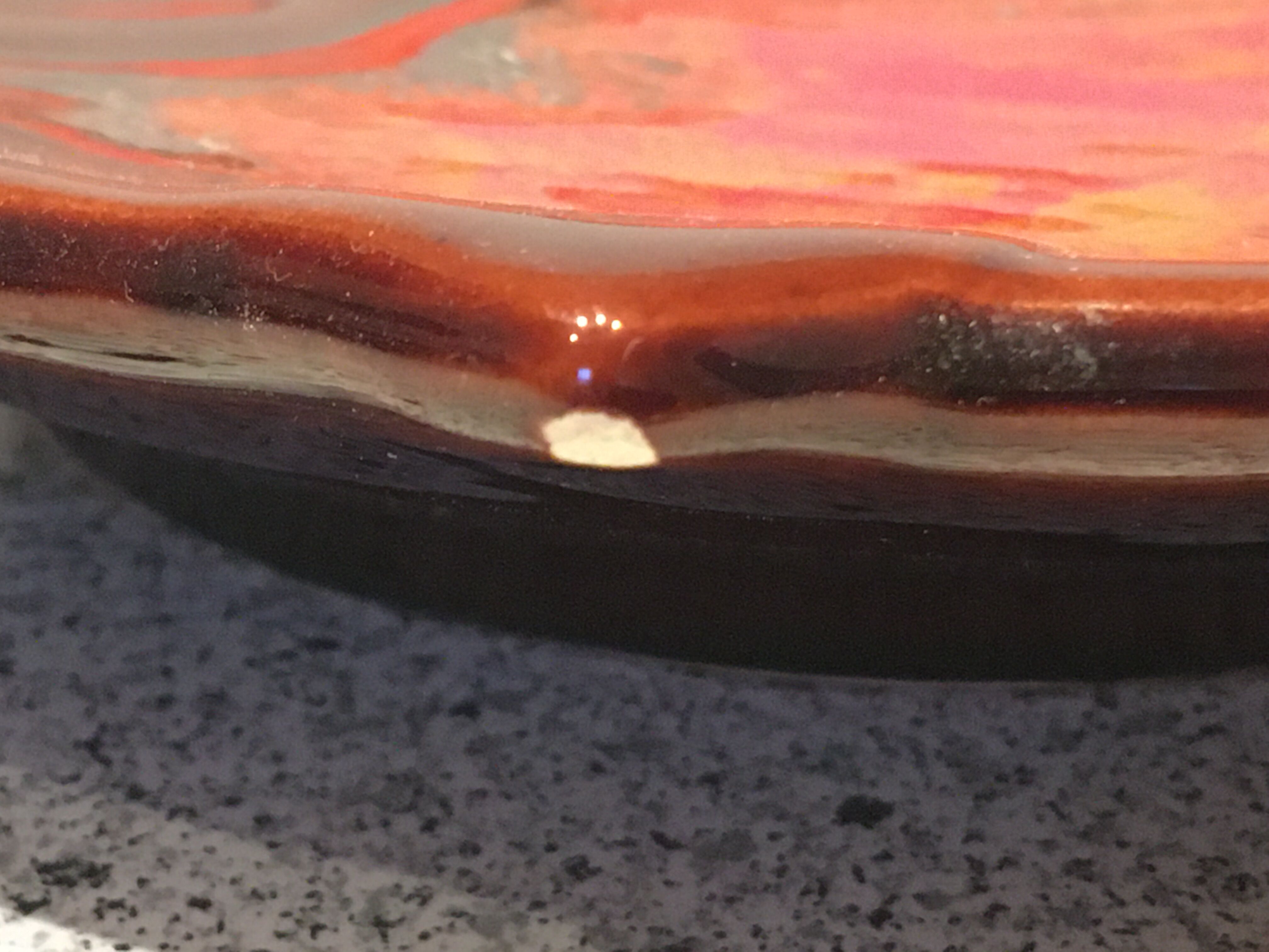Stylized fish appetizer dish