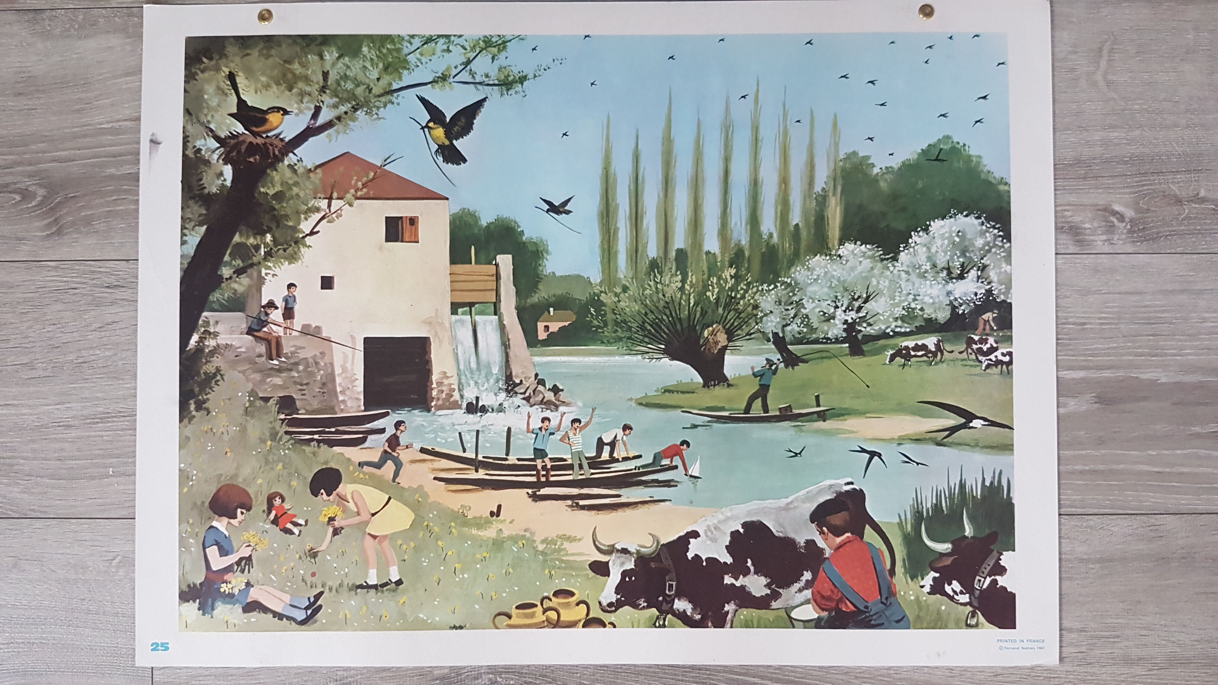 School posters scenes of life - fernand nathan 1967