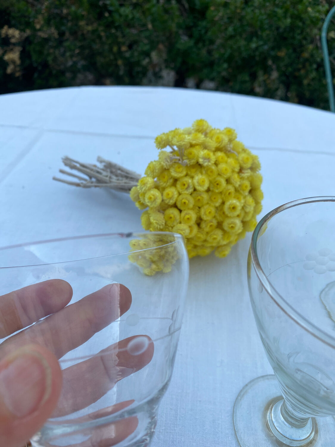 8 stemmed glasses