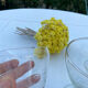 8 stemmed glasses