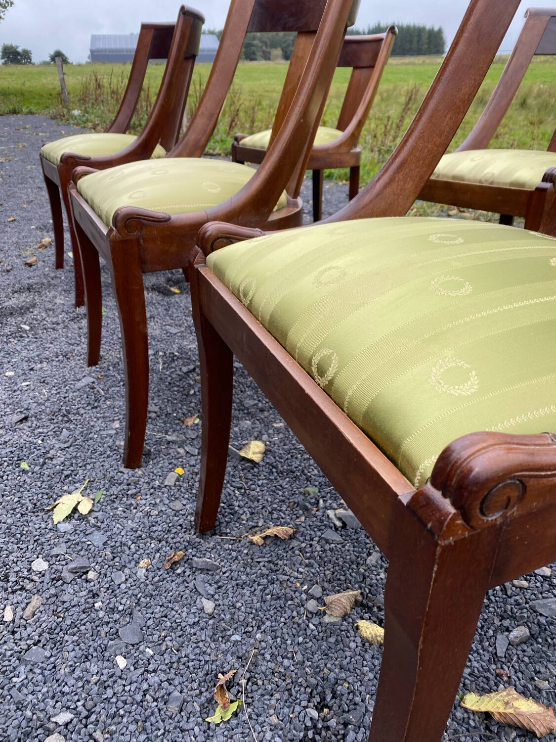 6 chaises gondole en acajou