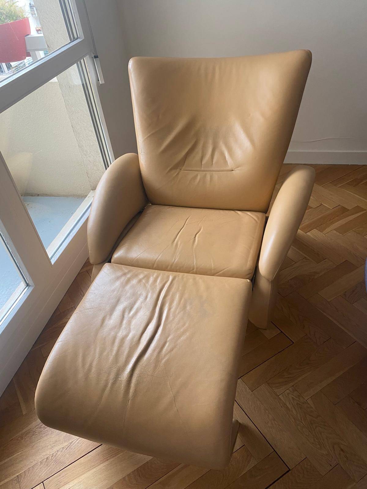 Fauteuil De Sede DS-260