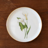 6 vintage furstenberg flower coasters