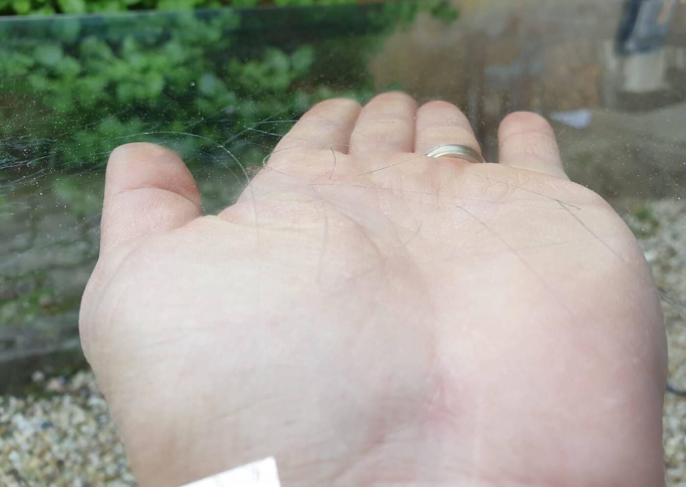 glass top dining room table