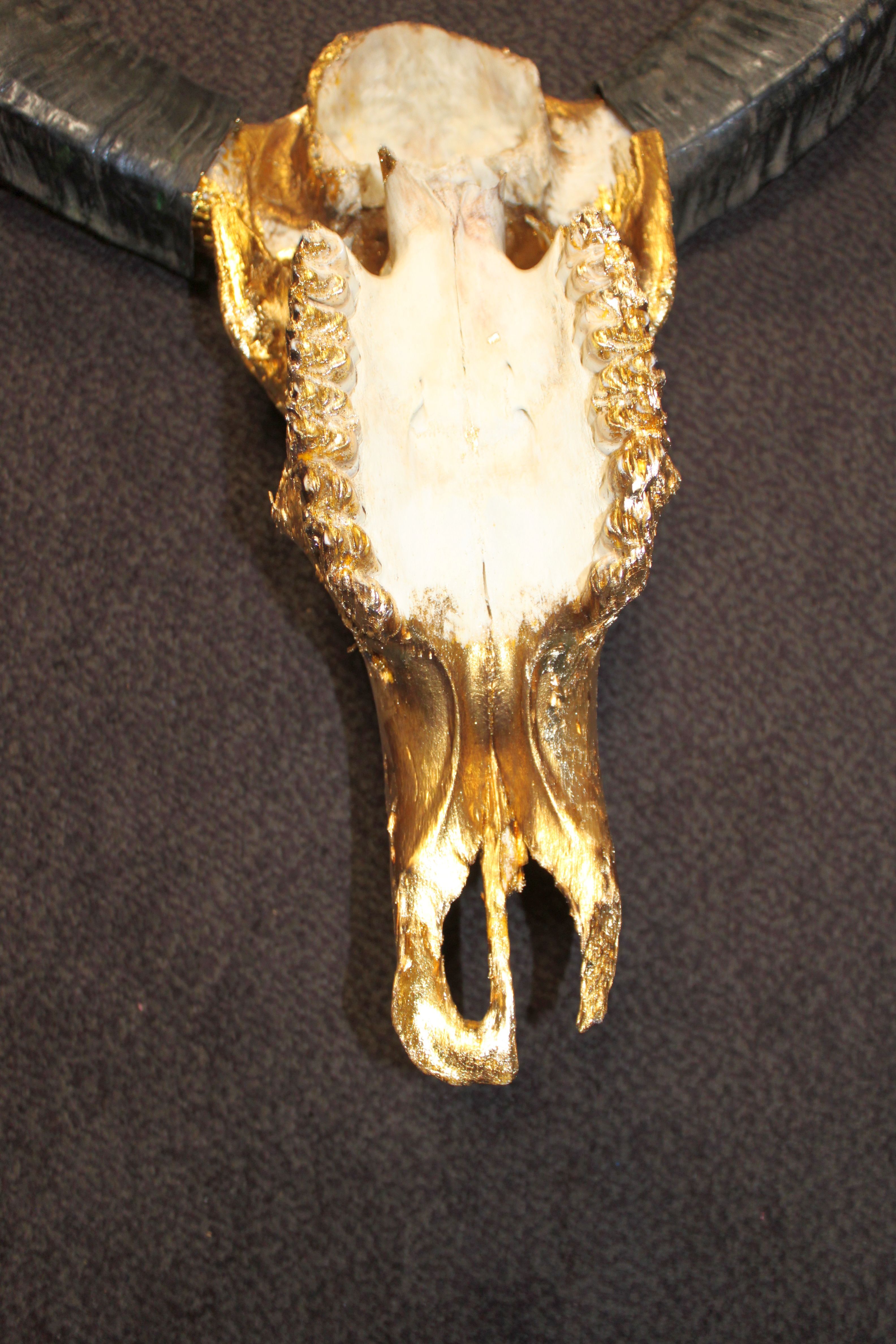 Golden buffalo skull