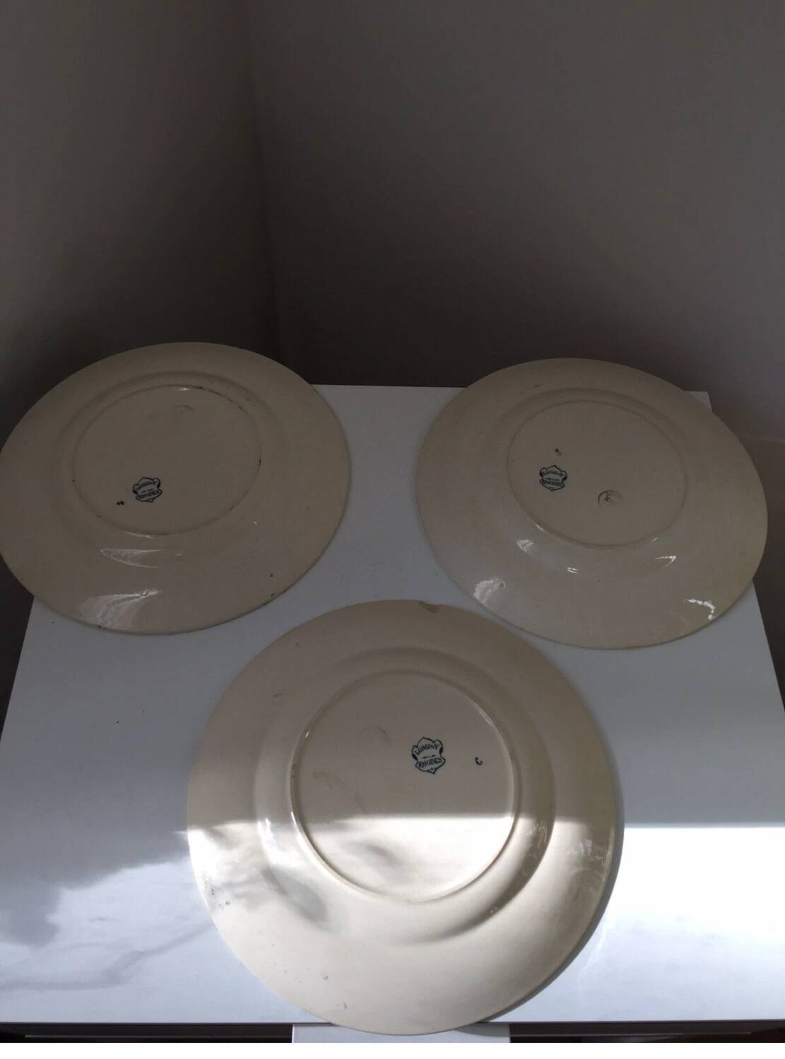 3 Grandes Assiettes Terre de Fer Rhodes Longwy XIX