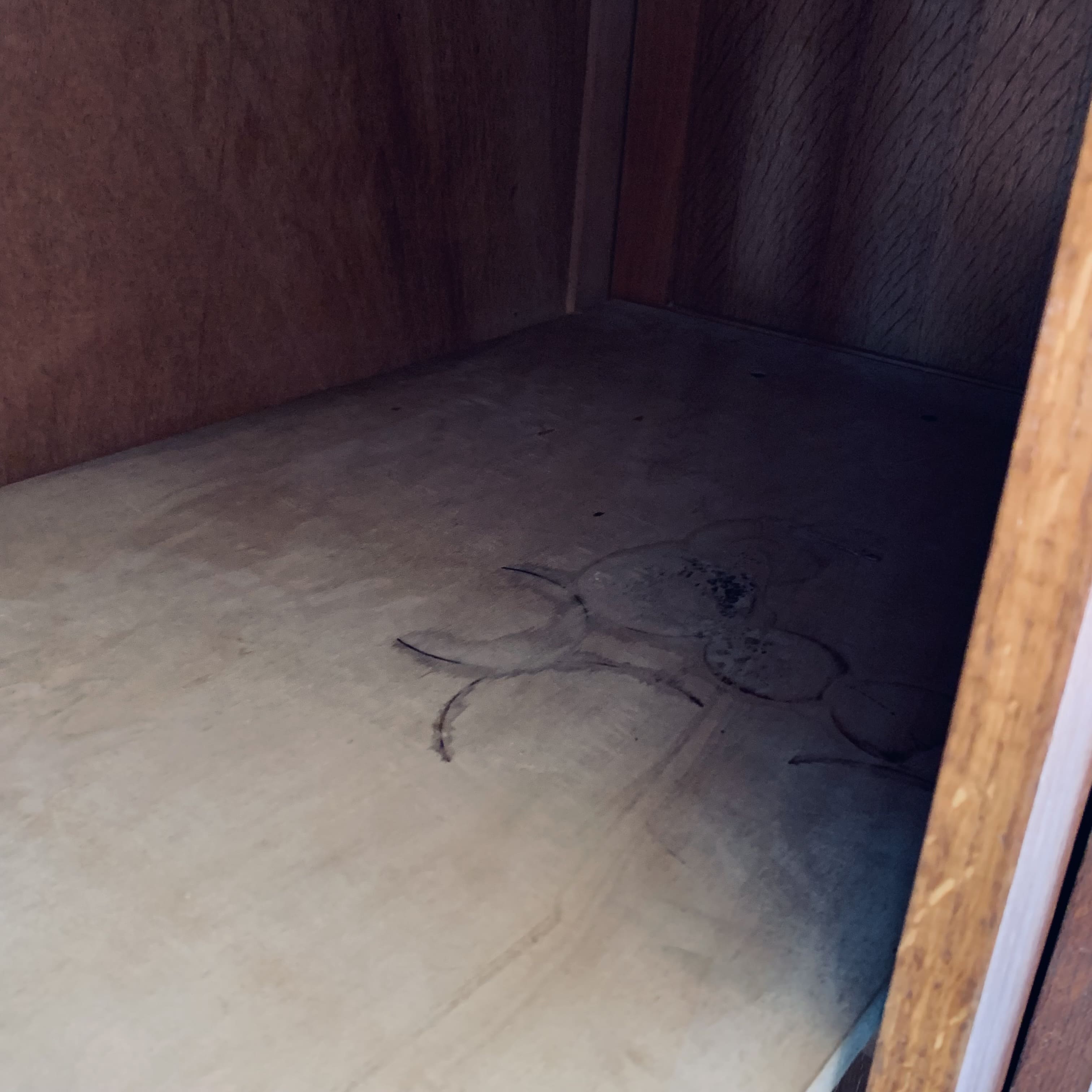 Vintage wardrobe/ wardrobe