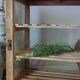 Garde manger campagnard ancien