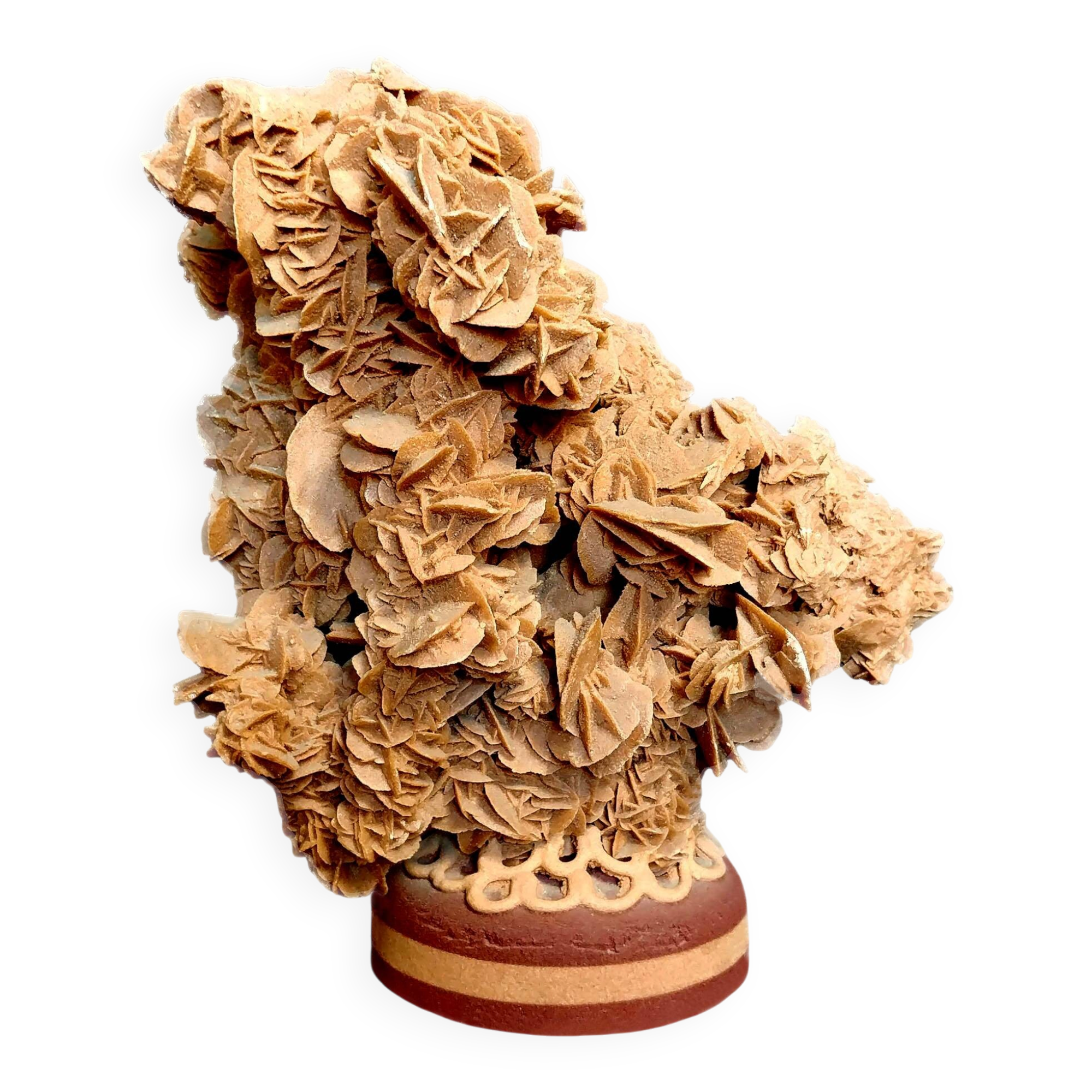 Exceptional rose des sables on a trimmed stem.