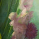 Radiant Flowers - Oil on Canvas